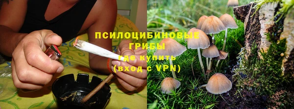спиды Орехово-Зуево