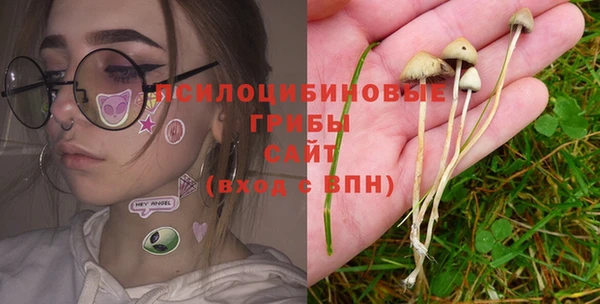 трава Новый Уренгой