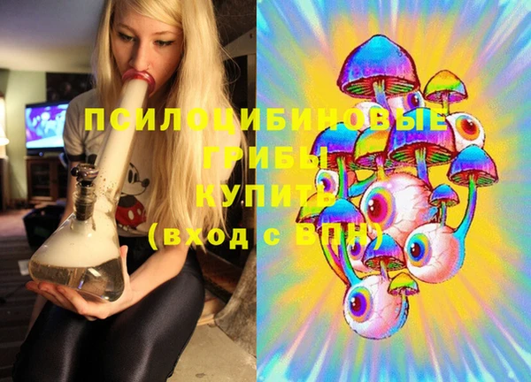 трава Новый Уренгой